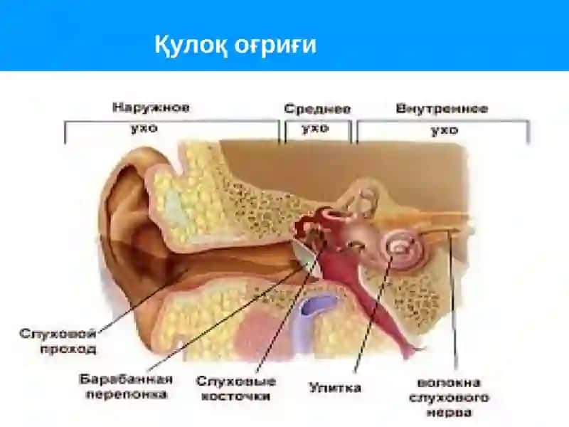 Quloq og'rig'i | Қулоқ оғриғи 4