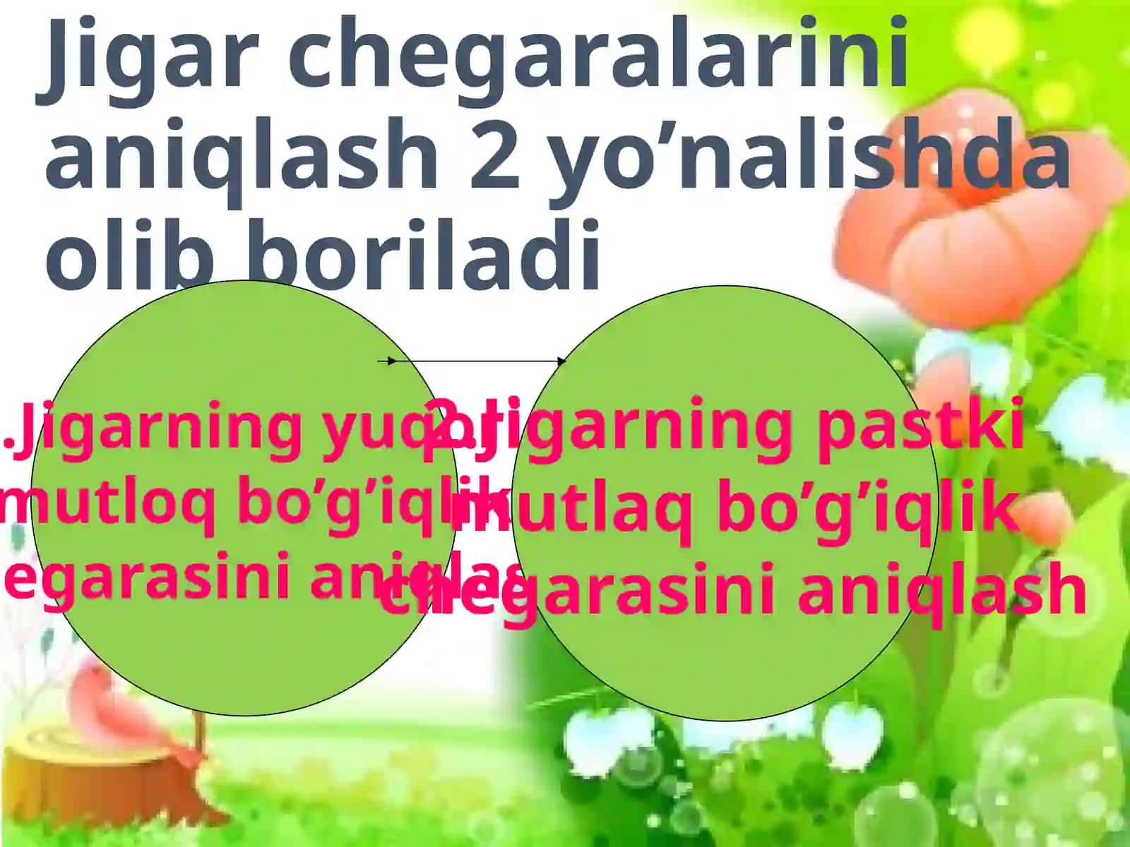 Jigar perkussiyasidagi norma va patalogiya 4
