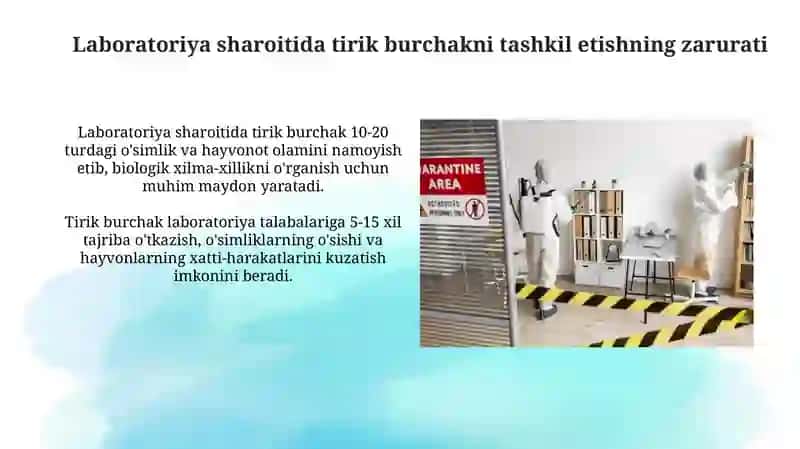 Tirik burchakning o'rni va ahamiyati va laboratoriya sharoitida tirik burchak tashkil etish 4