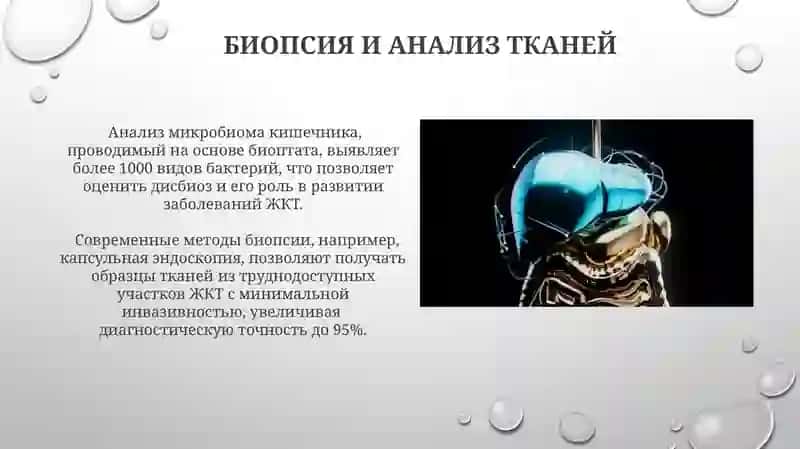Новые методы изучения функционирования пищеварительной системы 4