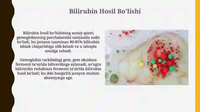 Bilirubin almashinuvi 4