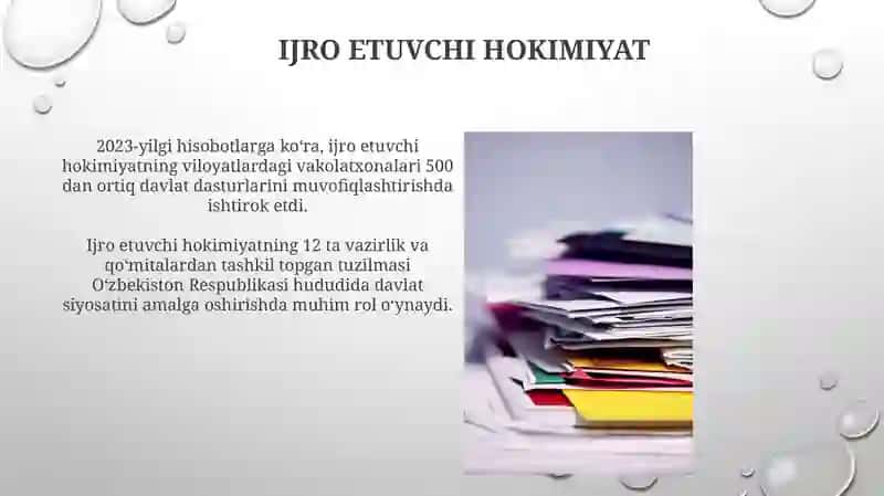 Davlat Institutsional Tuzilmasi 4