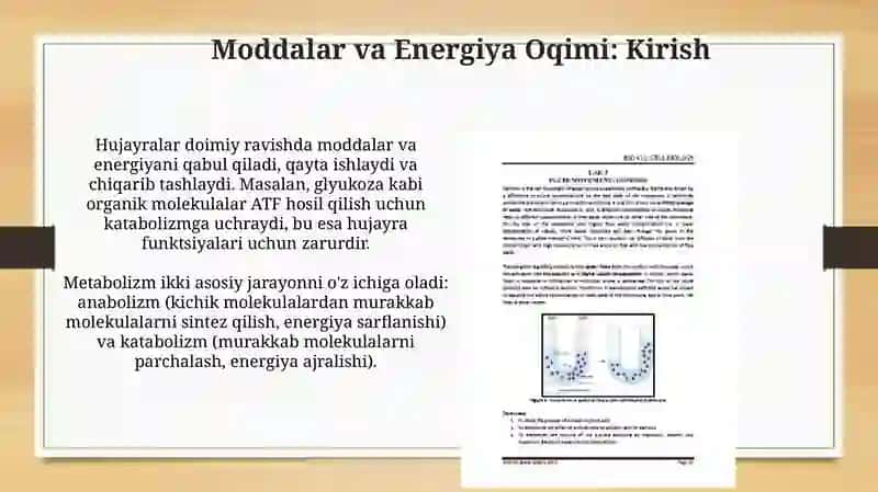 Hujayra Membranasi 4