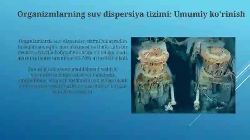 Organizmningsuvdisperssistemasihaqidabilimlartadbiqqilishorqaligrafikliorganayzerlar 4