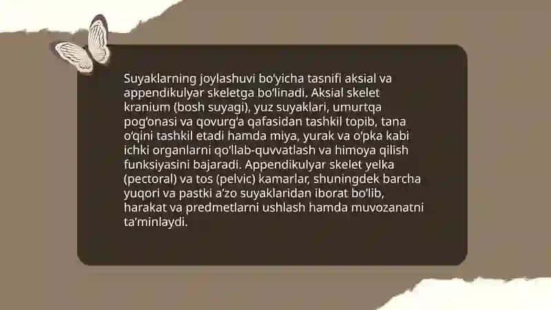 Suyaklarni tasnifi va tarifi 4