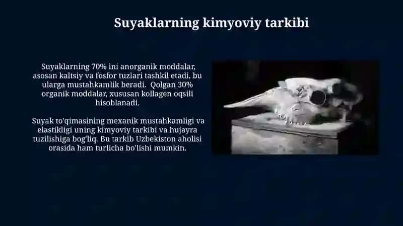Suyakning tuzilishi 4