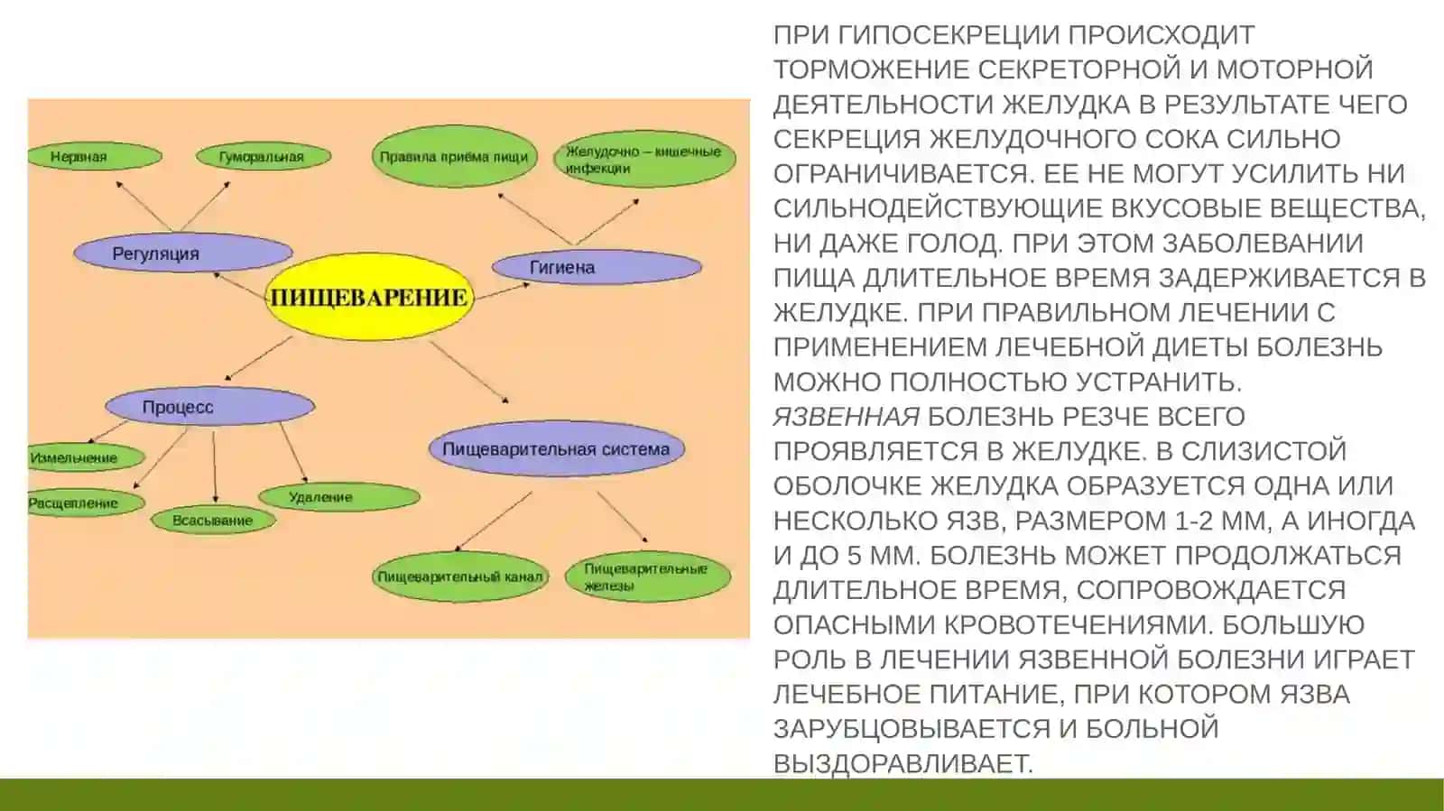 ПИТАНИЕ ПРИ ЗАБОЛЕВАНИЯХ ОРГАНОВ ПИЩЕВАРЕНИЯ 4
