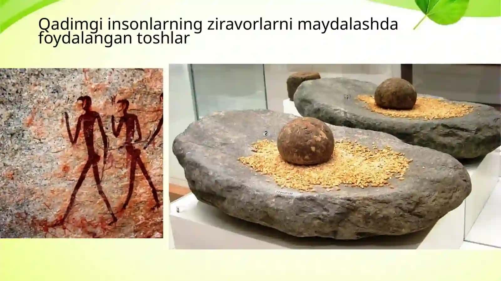 Qadimgi dunyo insonlarining ziravor o’simliklardan foydalanish tarixi 4