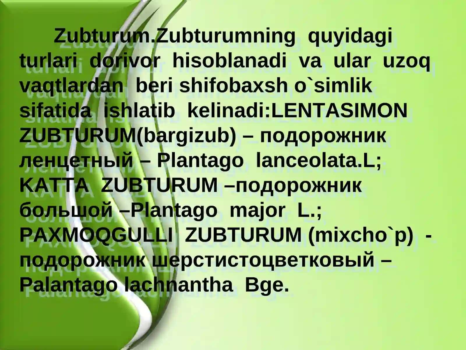 Dorivor o`simliklar 4
