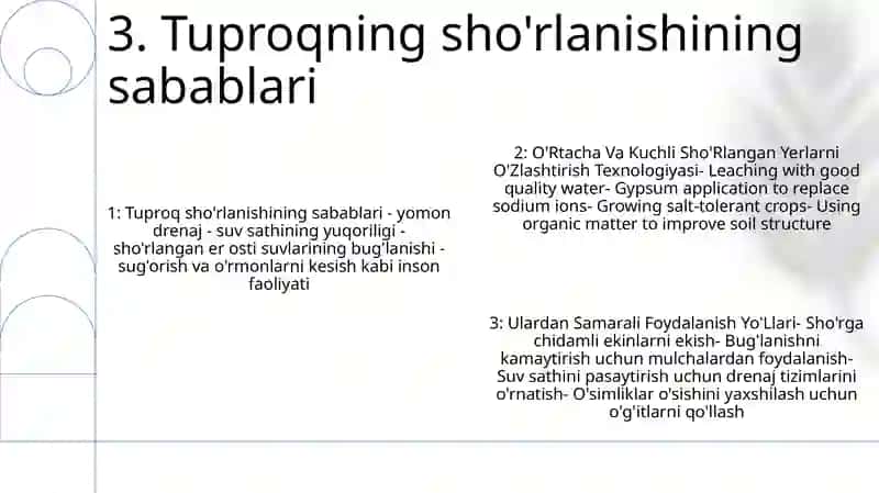 O'Rtacha Va Kuchli Sho'Rlangan Yerlarni O'Zlashtirish Texnologiyasi Va Ulardan Samarali Foydalanish Yo'Llari 4