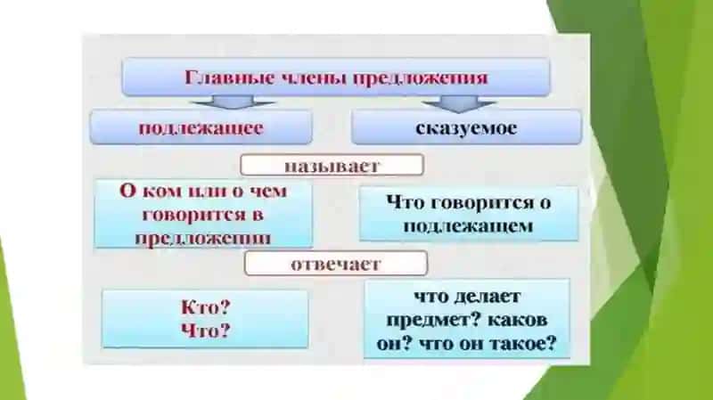 Моя профессия 4