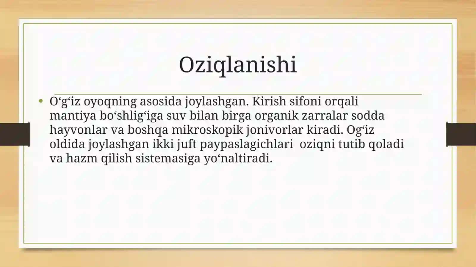 Boshoyoqli molyuskalarni hazm qilish sistemasi 4