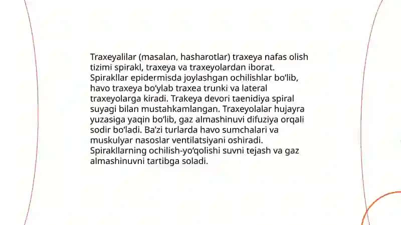 Traxeyalilar (Tracheata) kenja tipining umumiy tasnifi va xususiyatlari 4