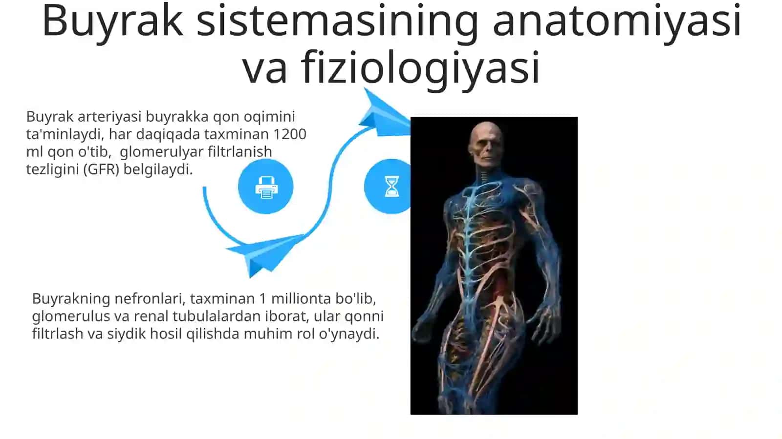 Azolar fiziologiyasi anatomiya faniga oid 4