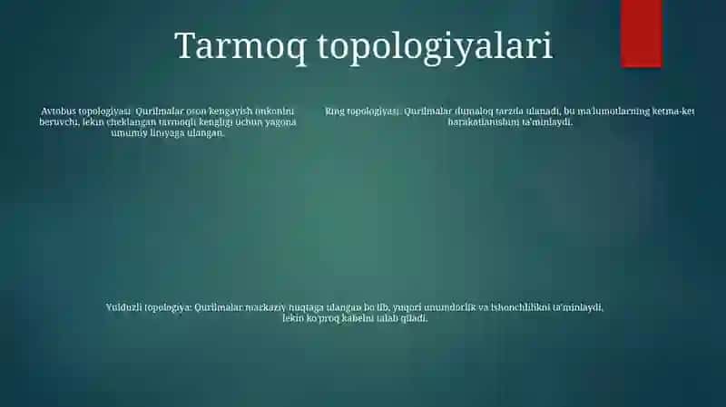 Telekommunikatsiya Va Tarmoqlar. Tashkilot Tarmoqlari 4