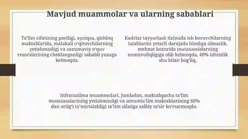 Maktabgacha,umumiyo’rta, professionalta’limningmavjudholati,muammolari 4