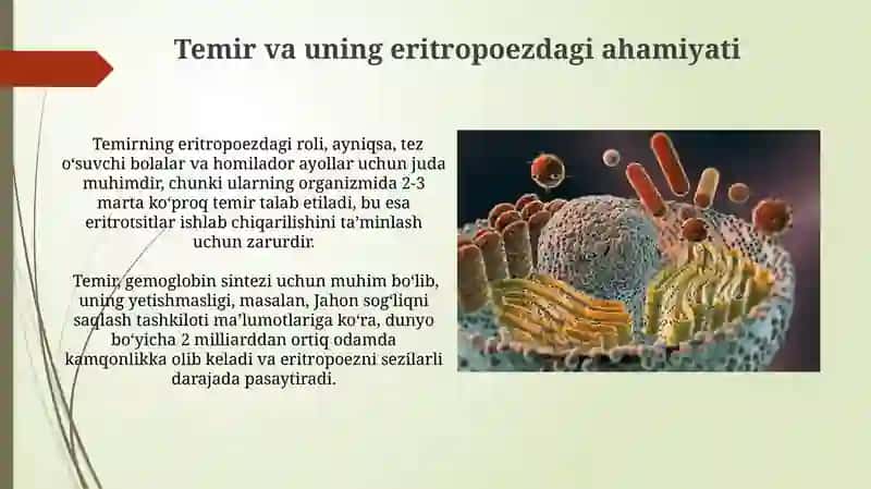Eritropoezga ta'sir etuvchi omillar 4
