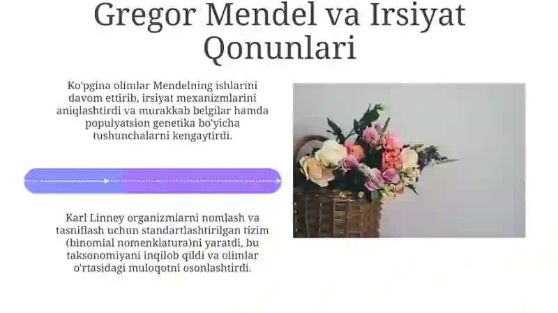 Oʻsimlik anatomiyasi va morfologiyasi 4
