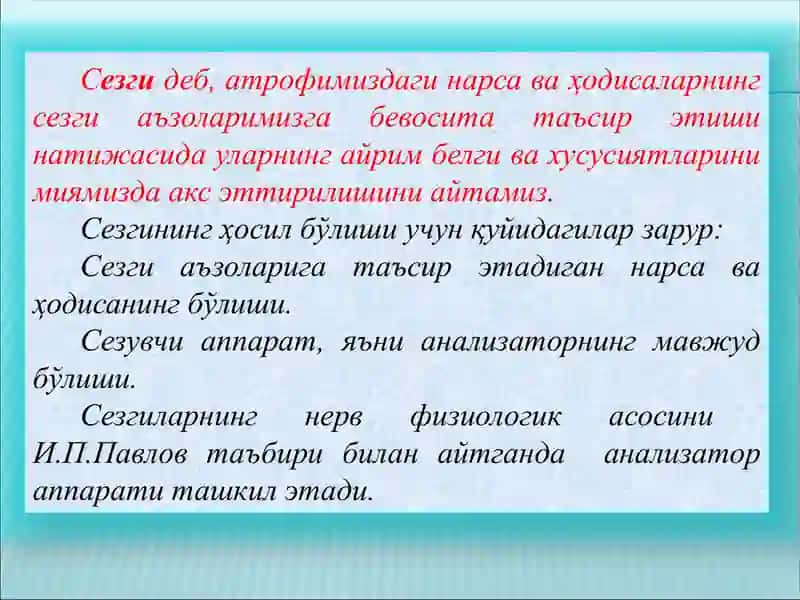 Сезги Ҳиссий Билиш Жараёни 4