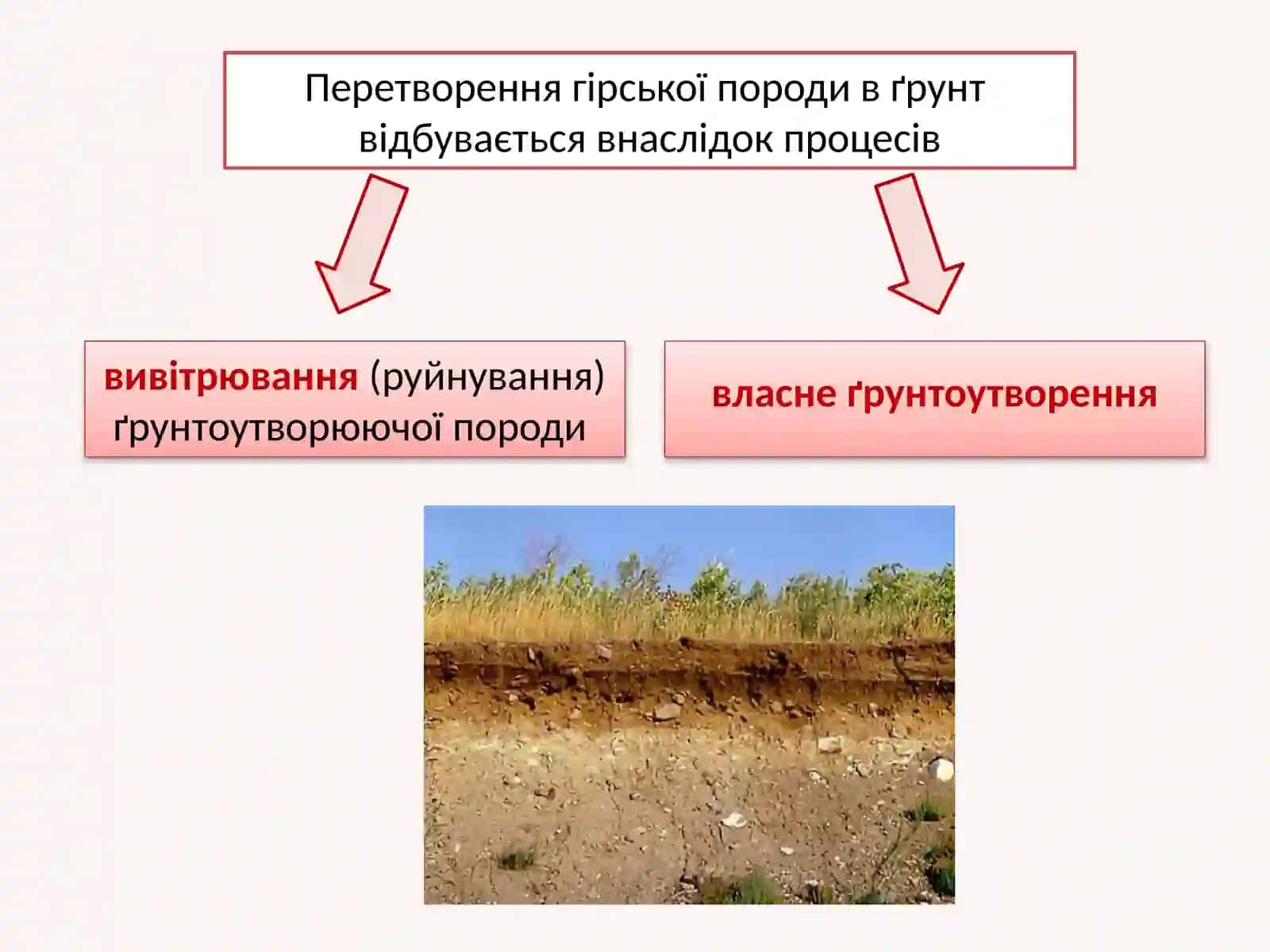 Лекція 3. Процеси та фактори ґрунтоутворення 4