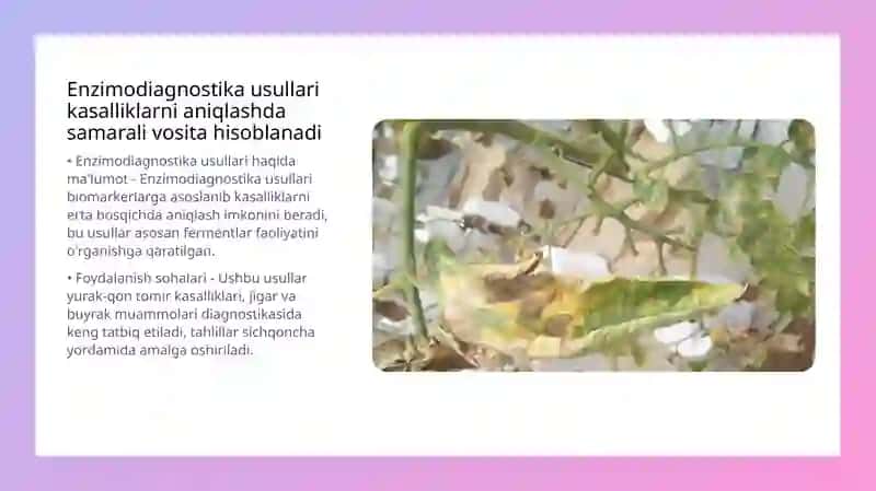 Tibbiy Enzimologiya Muammolari 4
