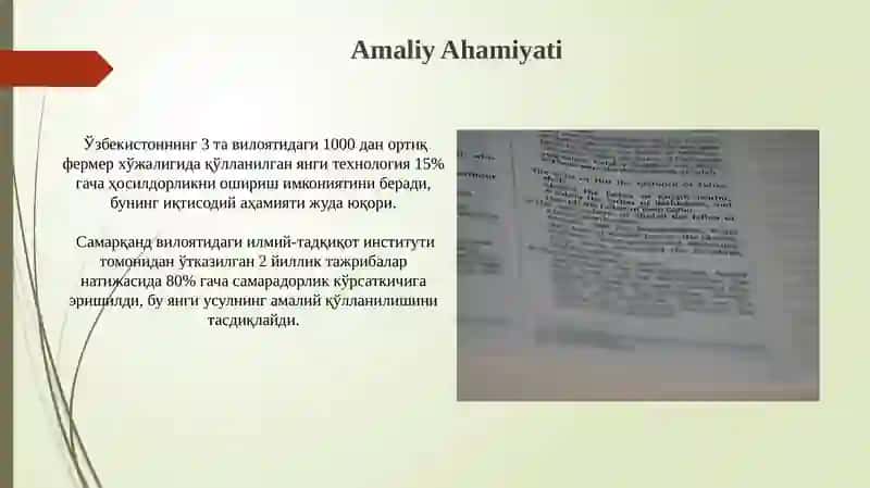 Loyiha mazmuni 4