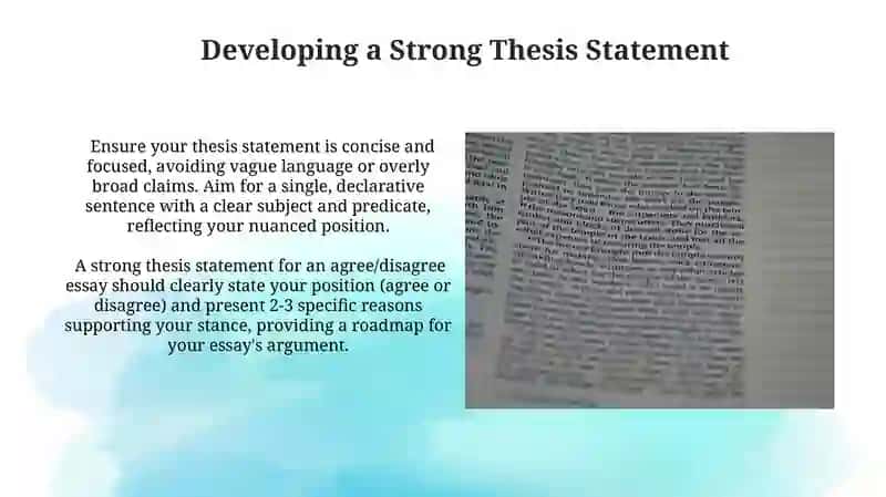 Agree disagree essays 4