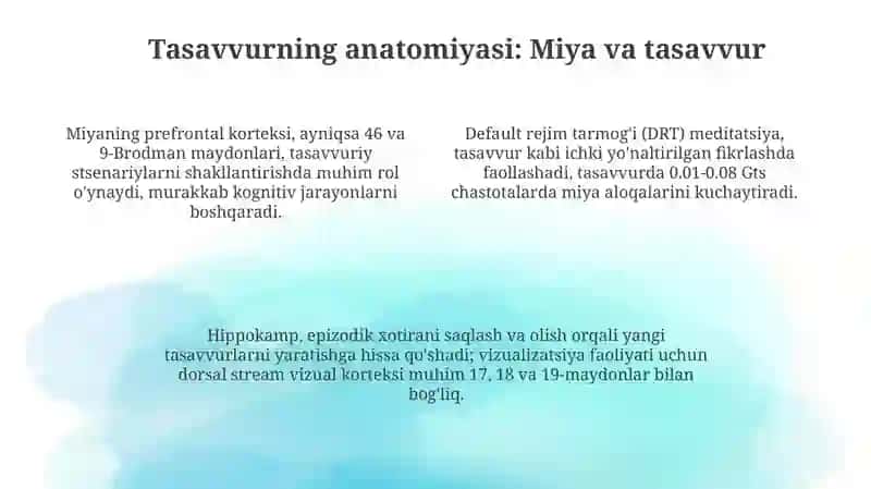 Tasavvur anatomiyasi 4