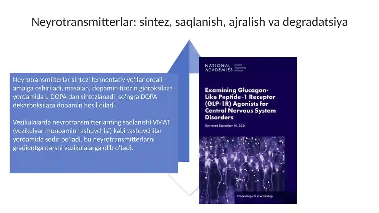 Markaziy va periferik asab tizimi biokimyosi 4