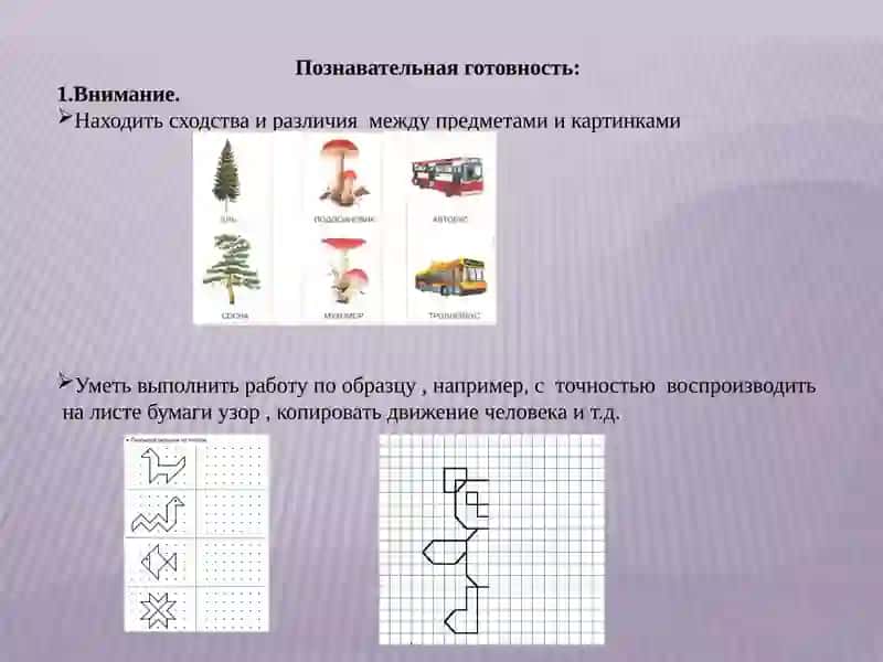 Теоретические проблемы подготовки детей к школе 4