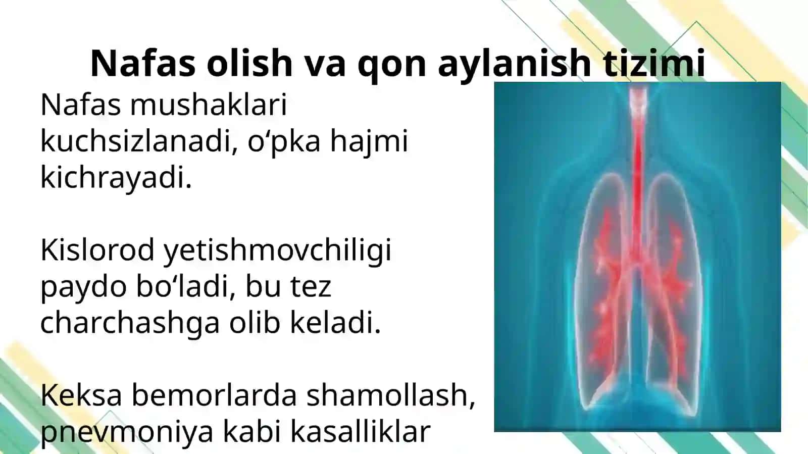 Keksa bemor. Keksa organizmning fiziologik xususiyatlari. Krizis holatdagi bemorga maslahat berish. Yo‘qotish, bemor holatining o‘ziga xosligi 4