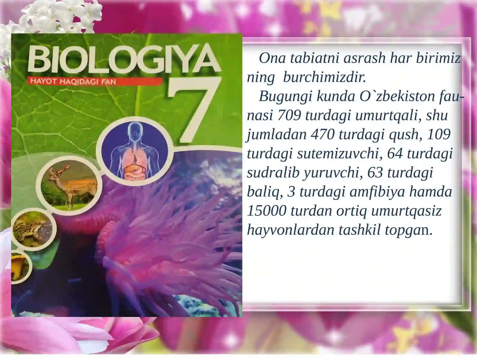7-sinf Biologiya fanidan Umurtqalilarning qon aylanish sistemasi ochiq dars ishlanma 4