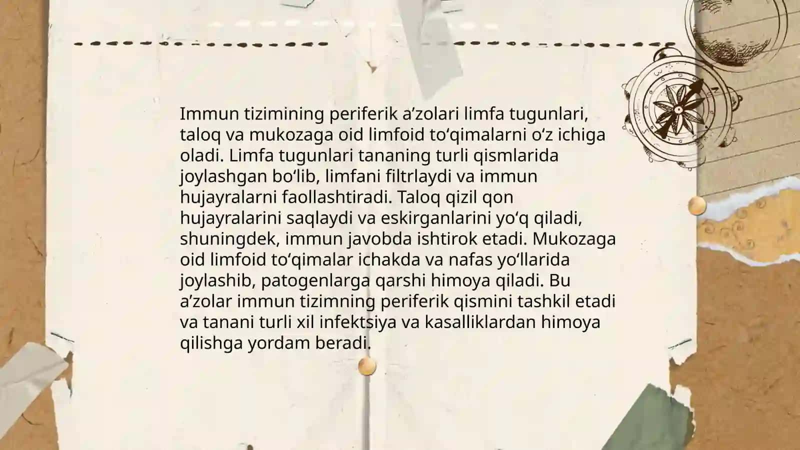 Immun tizimning markaziy va periferik a’zolari 4