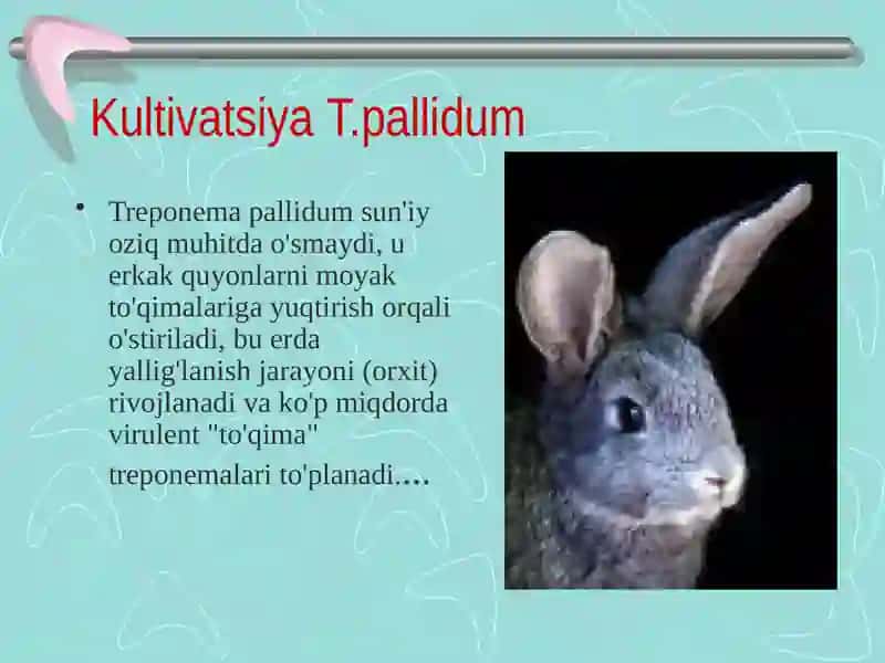Patagen xlomidiyalar qo'zg'atuvchi kasalliklari.Mikoplazma qozg'atuvchisi 4