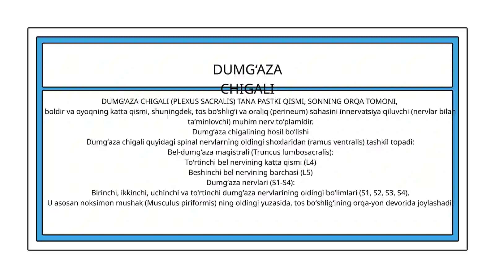 BEL CHIGALI.DUMG‘AZA CHIGALINING HOSIL BO‘LISHI,UNING QISQA VA UZUN TARMOQLARI.OYOQ TERISINI INNERVATSIYASI 4