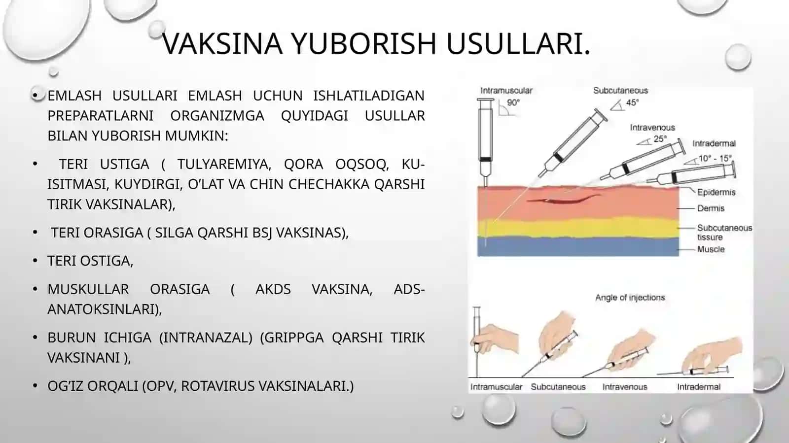 Emlash kalendar rejasini tuzish asoslari 4