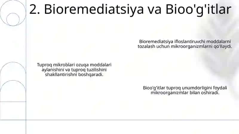 Tuproq mikrobiologiyasi va uni tuproq hosil bo’lishida qatnashishi 4