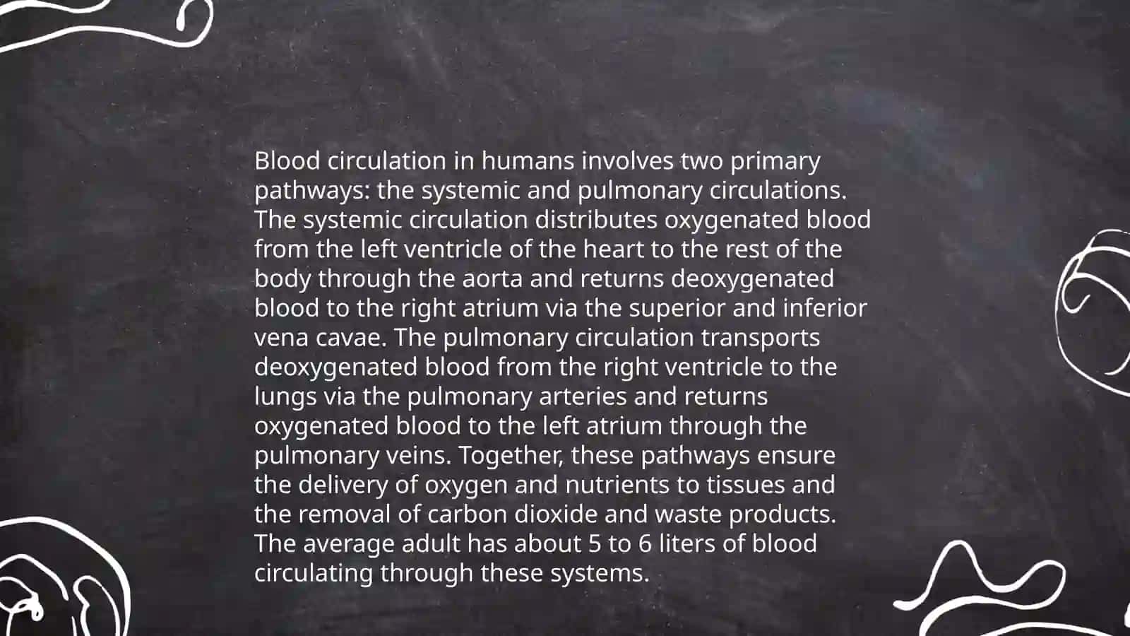The Cardiovascular System 4