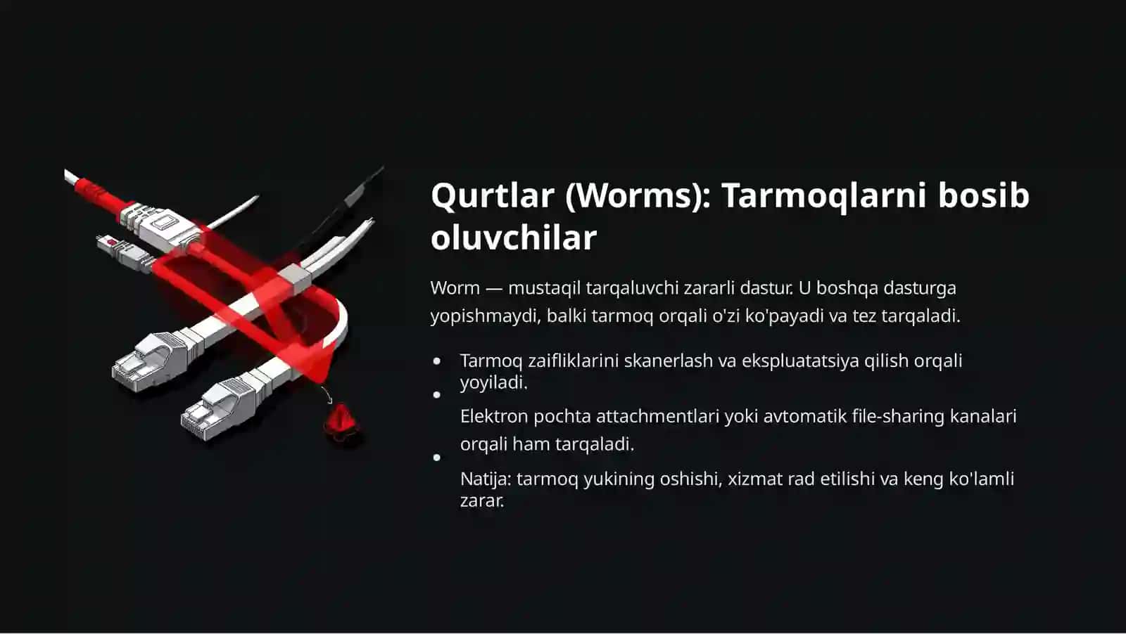 Zararli Dasturlar Viruslar Worm va Trojanlar dunyosi 4