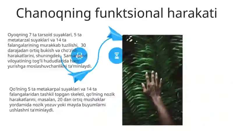 Qo’l, oyoq va chanoq suyaklarining funktsional anatomiyasi 4