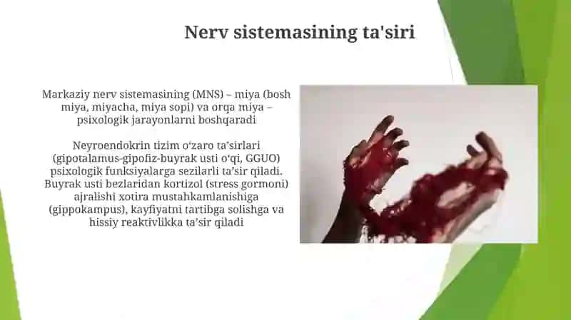 Psixologiyafaninioʻzlashtirishdafiziologiyaningoʻrni 4