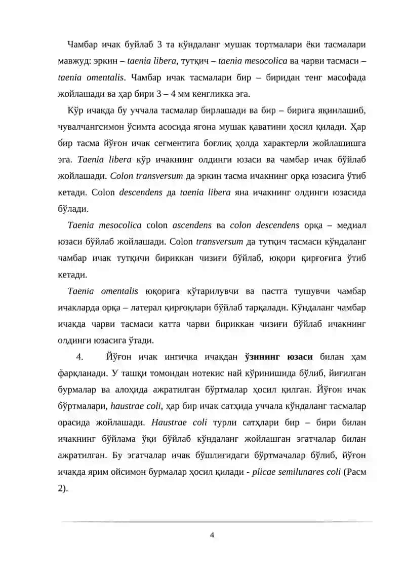 ЙЎҒОН ИЧАКНИНГ АНАТОМИЯСИ 4