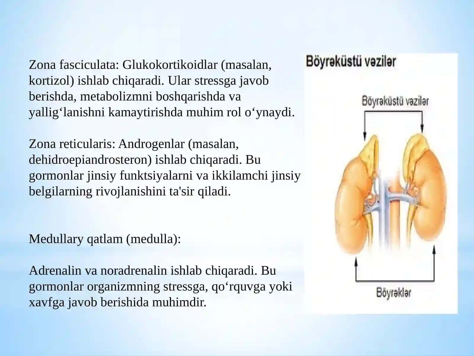 O'tkir buyrak ustibezi yetishmovchiligi 4