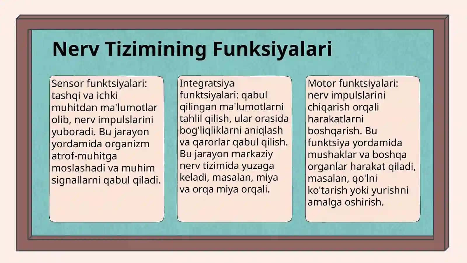 Eshtish analizatori nerv fiziologik asosi 4