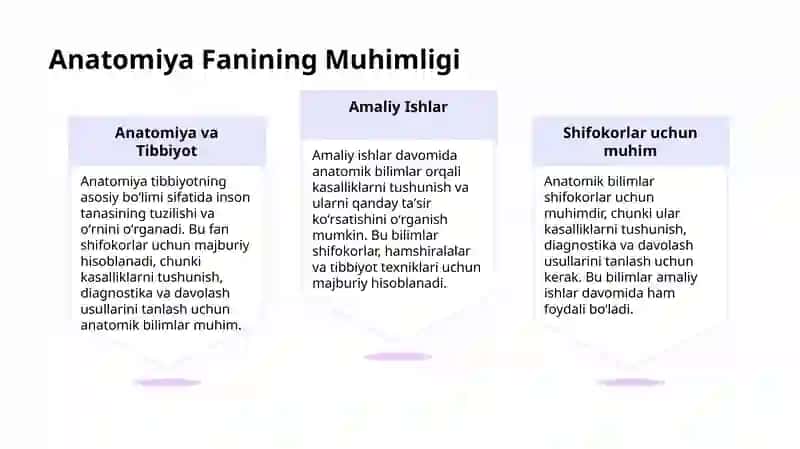 Amaliy Ishlarda Anatomiya 4