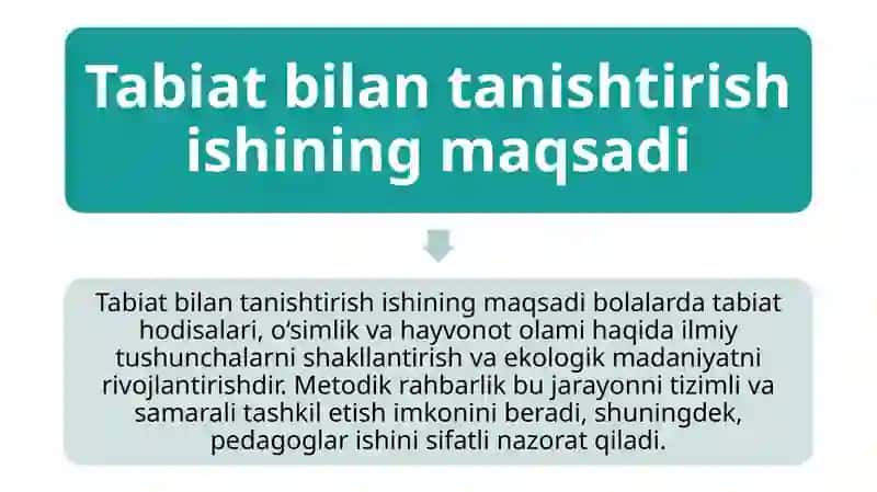Maktabgacha ta’lim tashkilotlarida tabiat bilan tanishtirish ishiga metodik rahbarlik 4