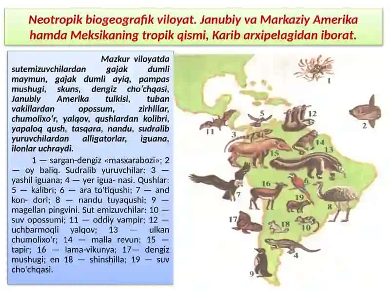EVOLUTSIYANI ISBOTLASHDABIOGEOGRAFIYA FANIDALILLARI 4