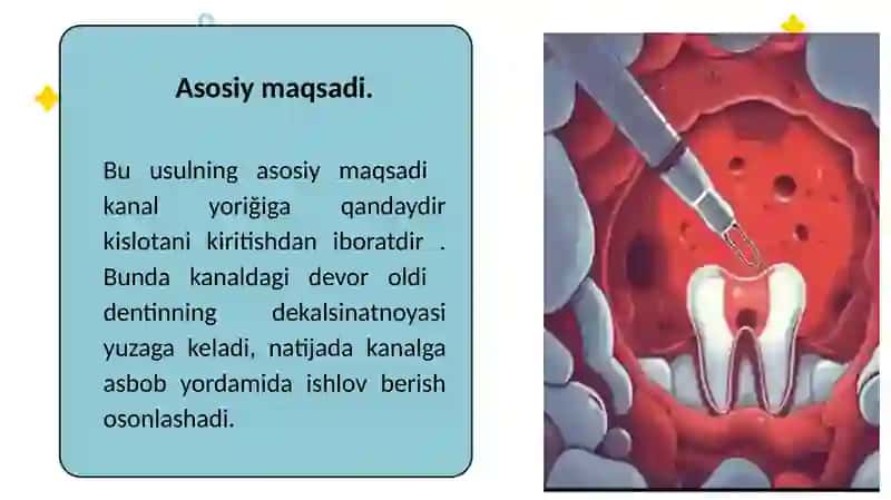 Ildiz kanallarini kimyoviy kengaytirish 4