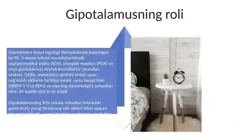 Uyqu fiziologiyasi 4