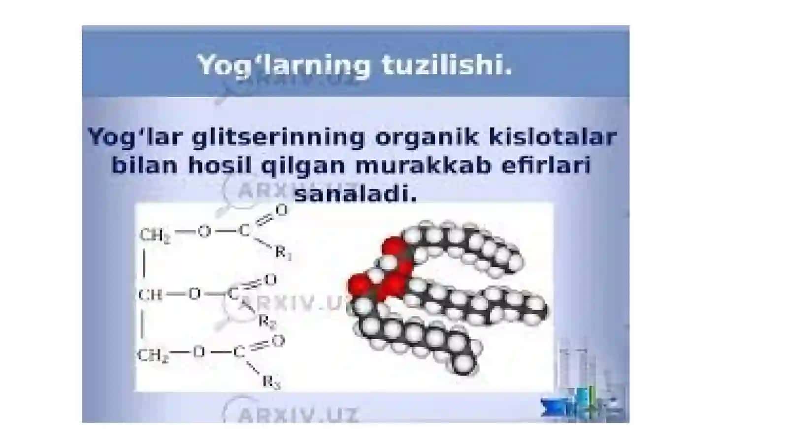 Lipidlarning tuzilishi, funksiyasi va metabolizmi 4